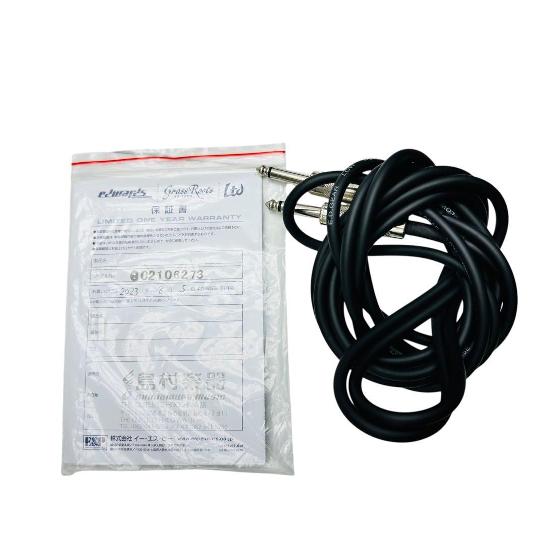 grass roots エレキギター　グラスルーツ