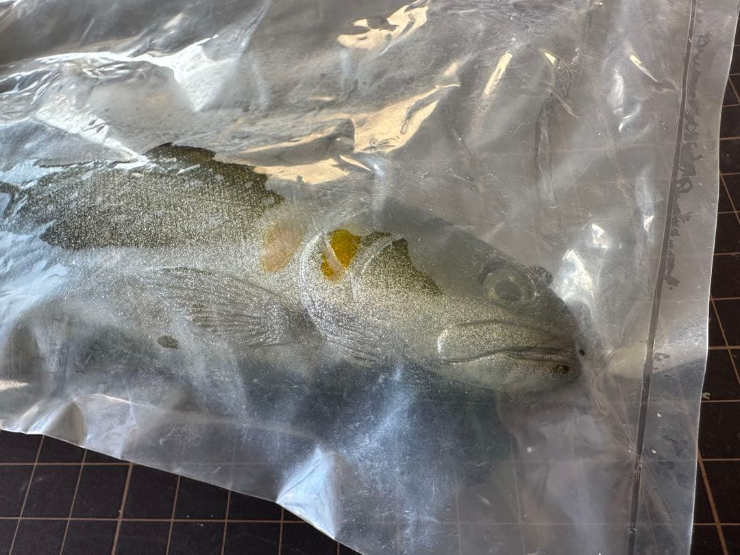 ハドルトラウト 8インチ ROF12 ハドルストン