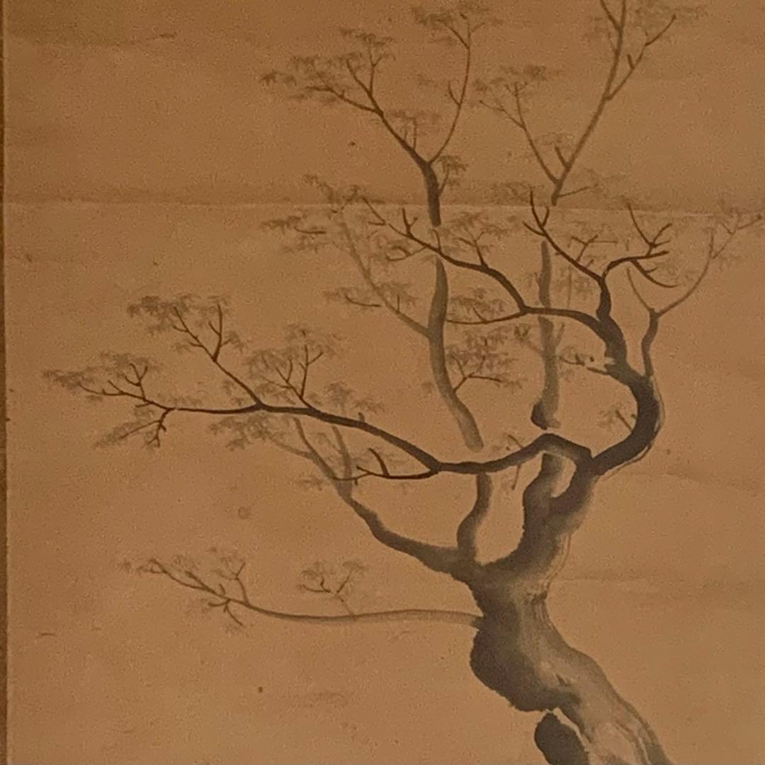 森寛斎 掛軸 古美術 茶道具 古道具 アンティーク