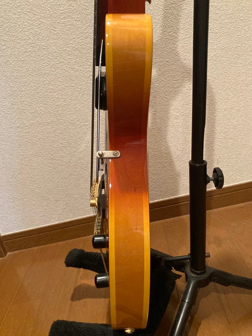 Rozeo Ladybug (Gibson SG 64年製ピックアップ付)