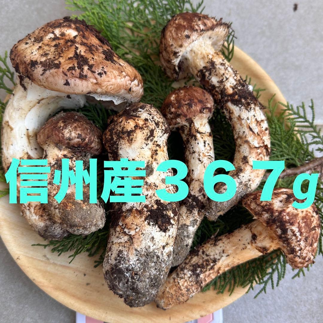 信州産松茸３６７g