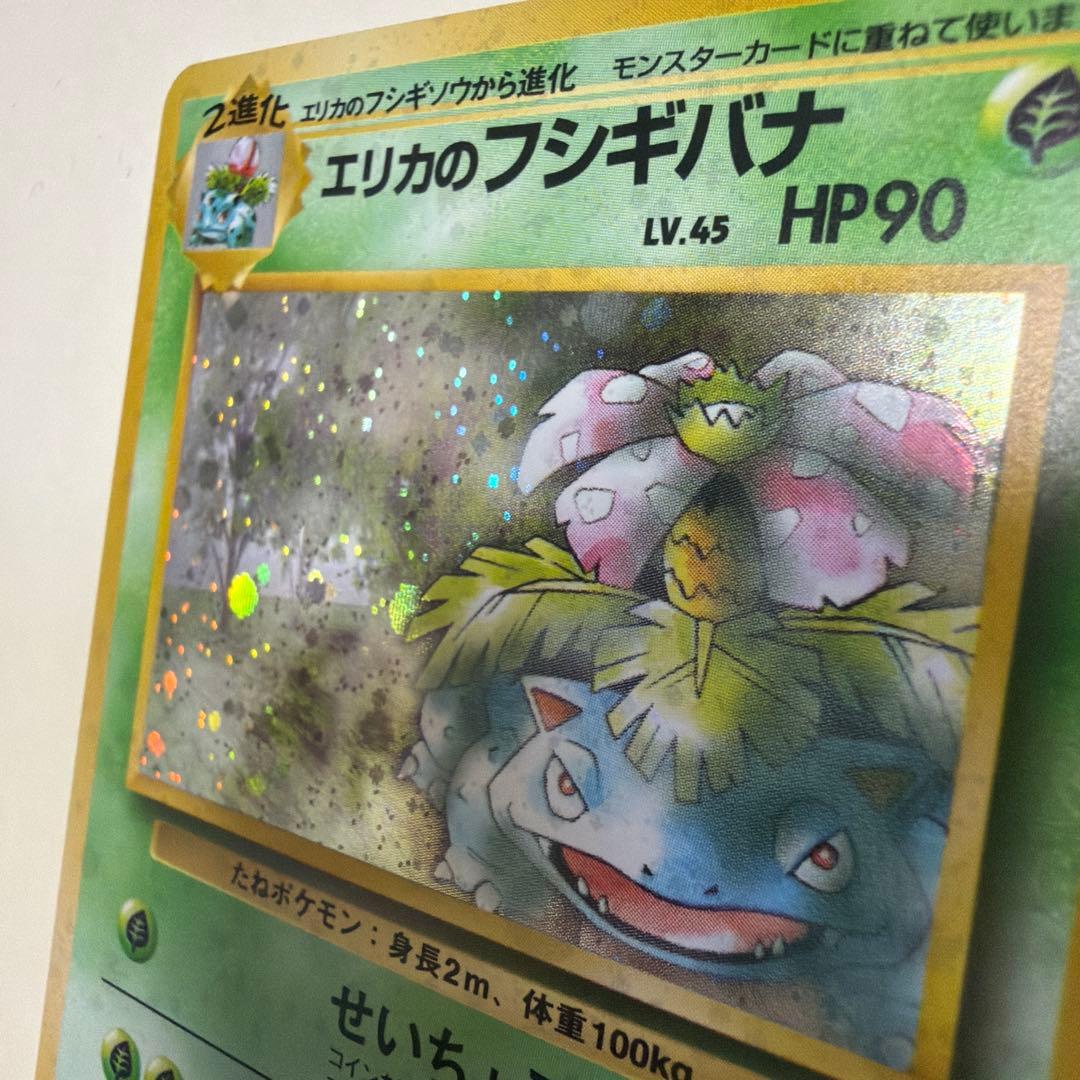 ワタッコ、カメックス、フシギバナ