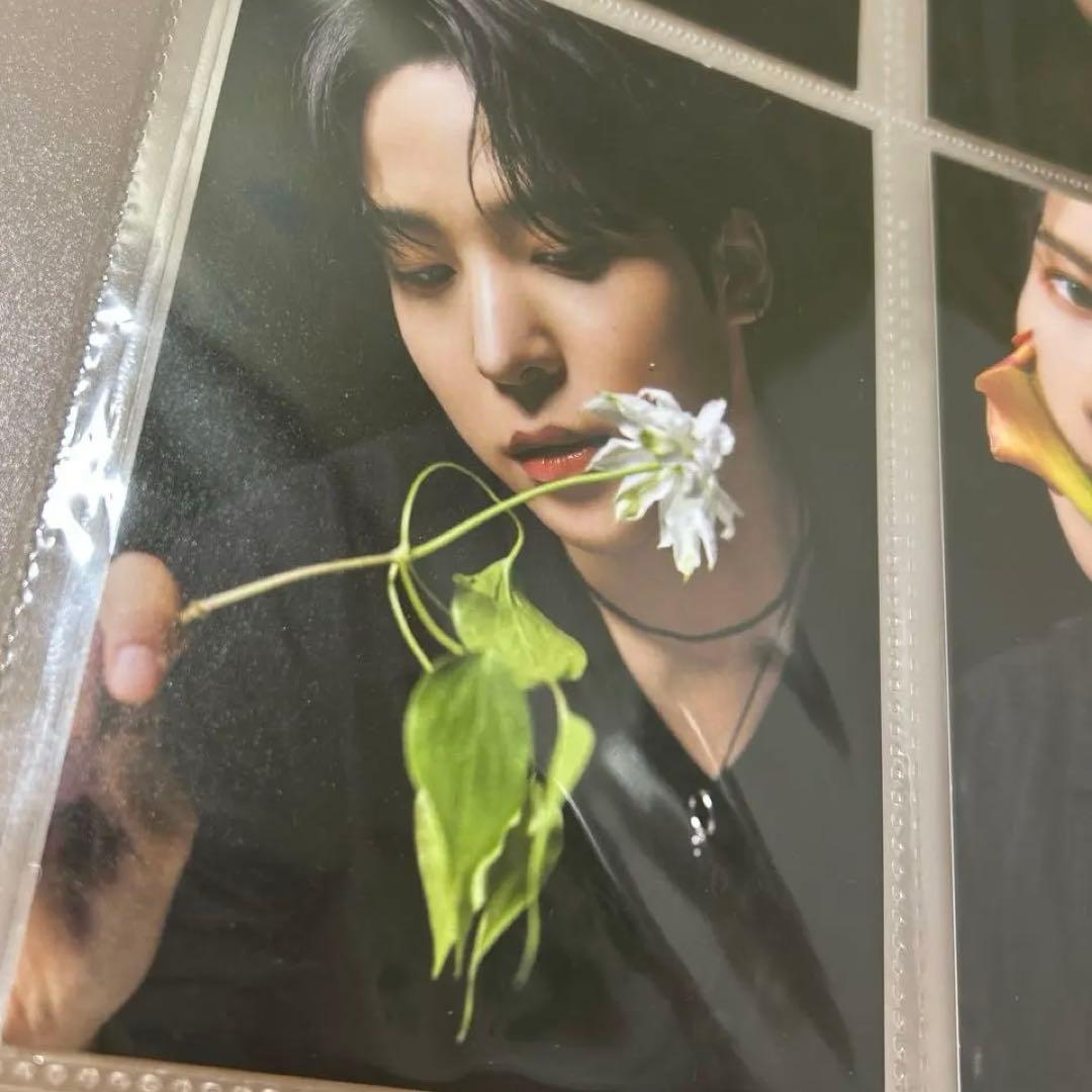 ATEEZ scawaii ポストカード コンプ 8枚セット