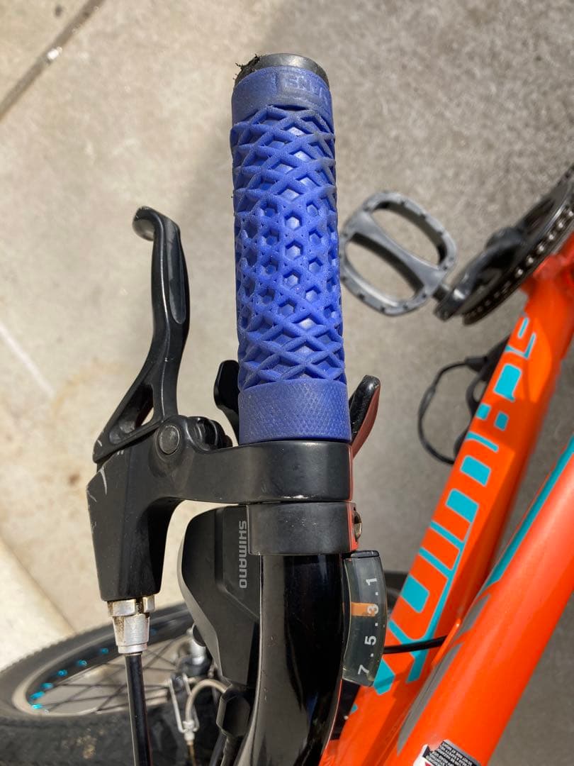 SCHWINN MTB 「MESA20」20インチ　引き取り限定