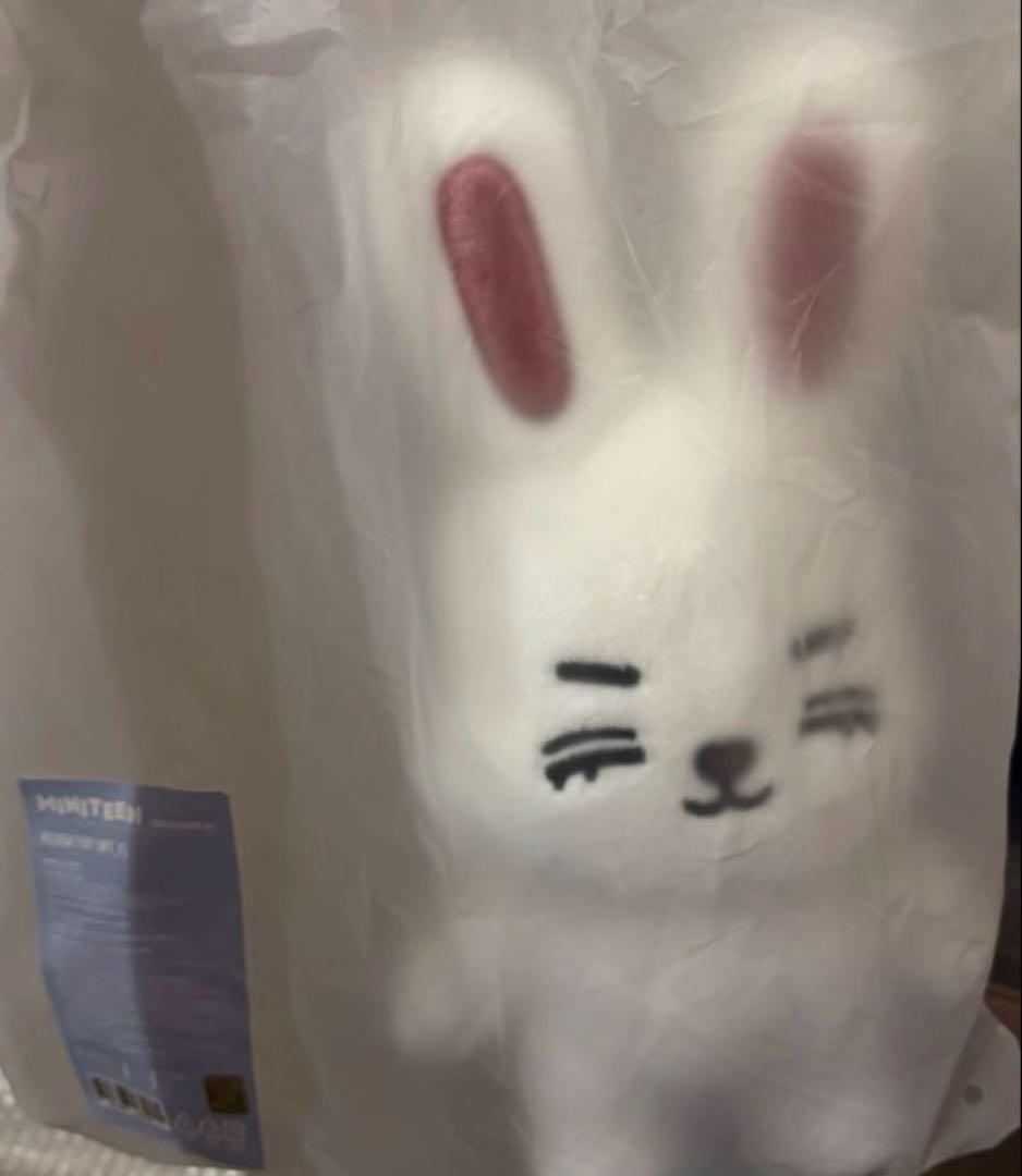 セブチseventeen miniteen エスクプス ぬいぐるみ チェチェリー