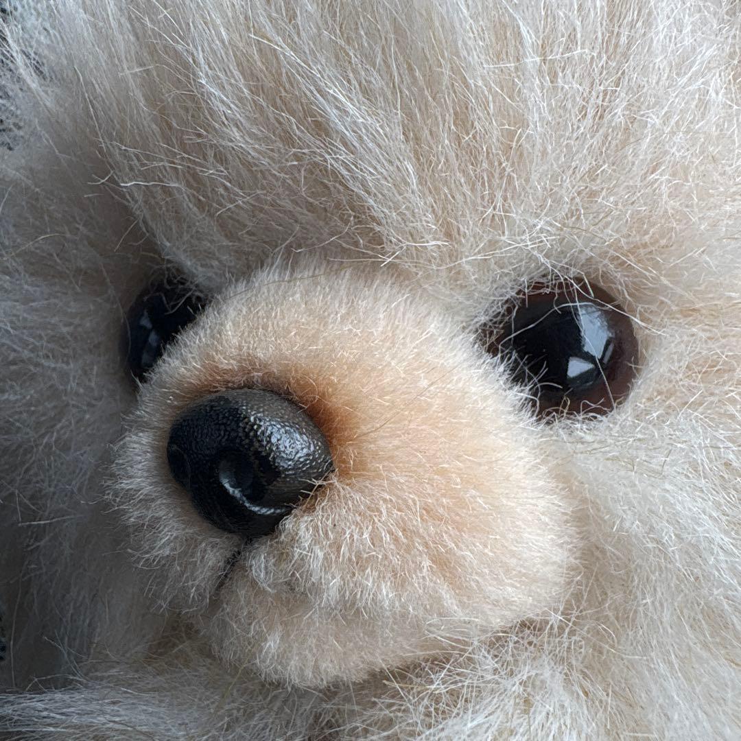 ぬいぐるみの三英　グレイスフル　イヌ　ポメラニアン　リアルなぬいぐるみ　タグ付き