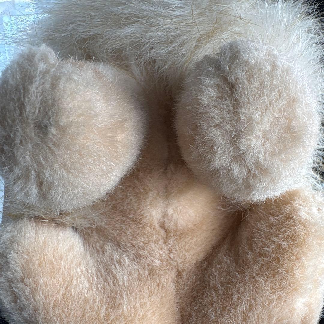 ぬいぐるみの三英　グレイスフル　イヌ　ポメラニアン　リアルなぬいぐるみ　タグ付き