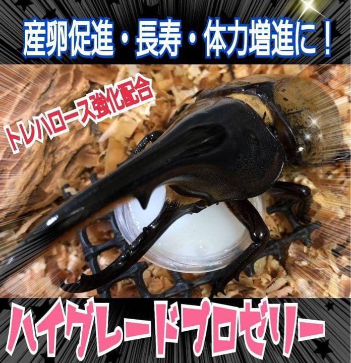 特選ハイグレードプロゼリー500個　産卵促進・長寿に抜群！食べやすいワイドカップ