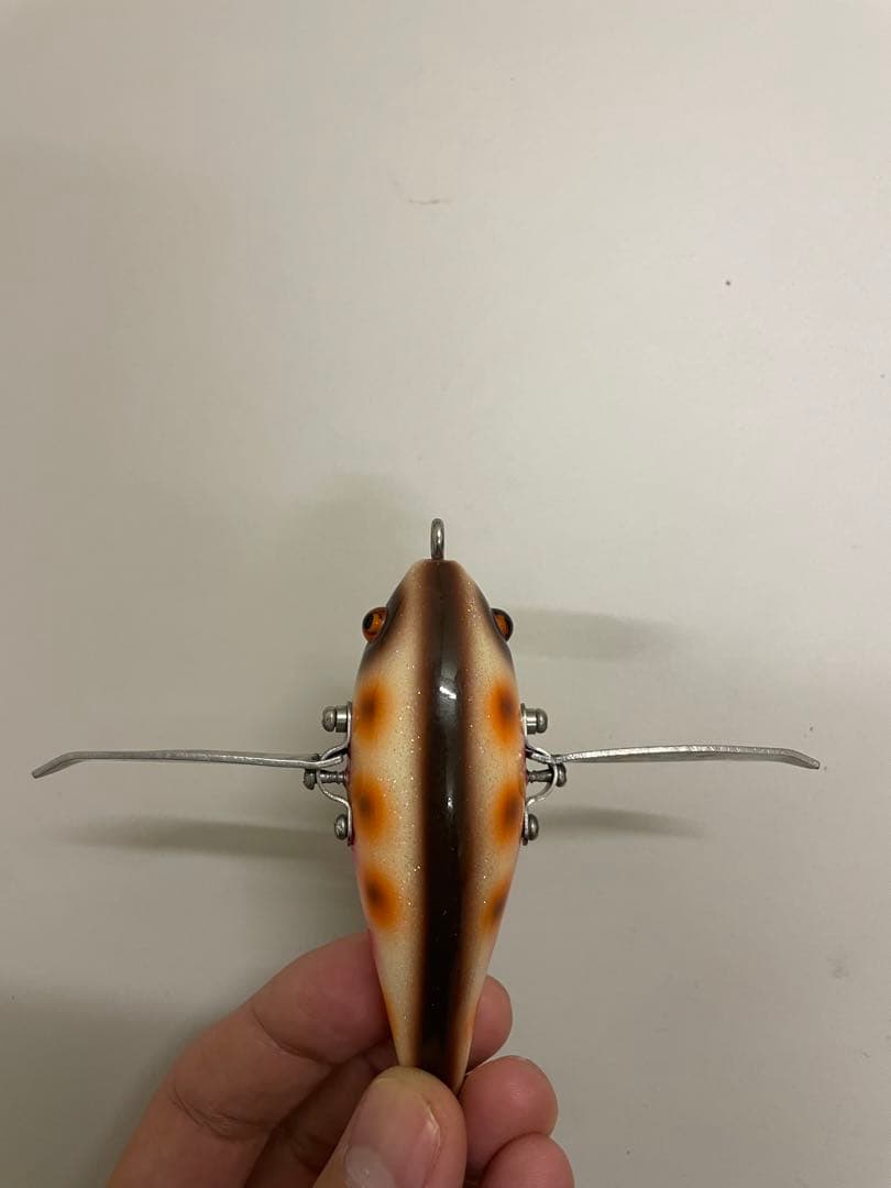 ワイルドダンサー スローテーパー パロット