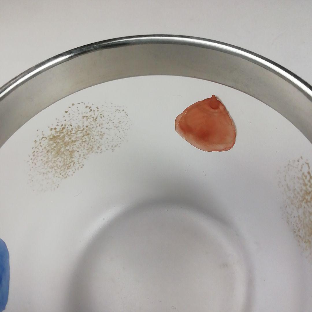 Ｔ７６９　棗　『義山　宝尽くし』『ガラス棗』『水崎長寿』　共箱　茶道具