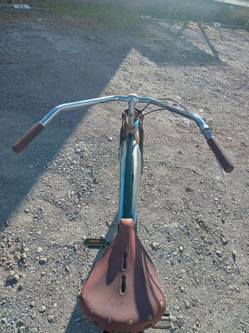 Schwinn cruiser SS Custom シュウイン