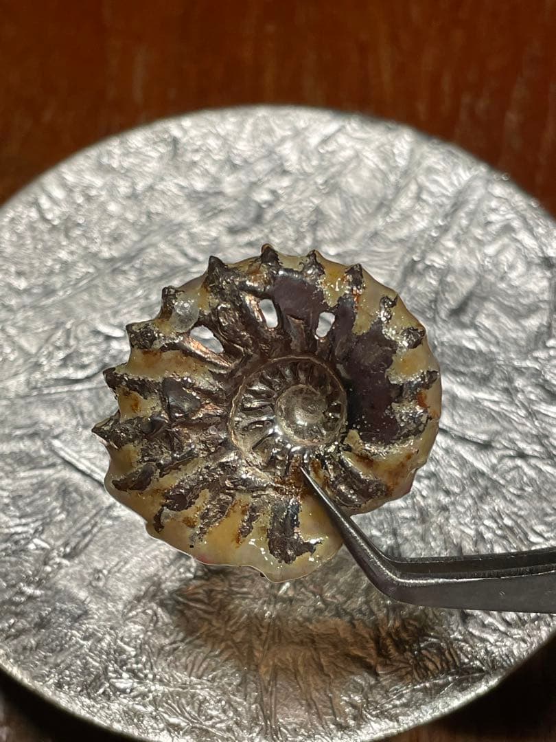 リモージュ ×アンモナイト　ヴィンテージ　アクセサリーケース　銀製品　工芸品