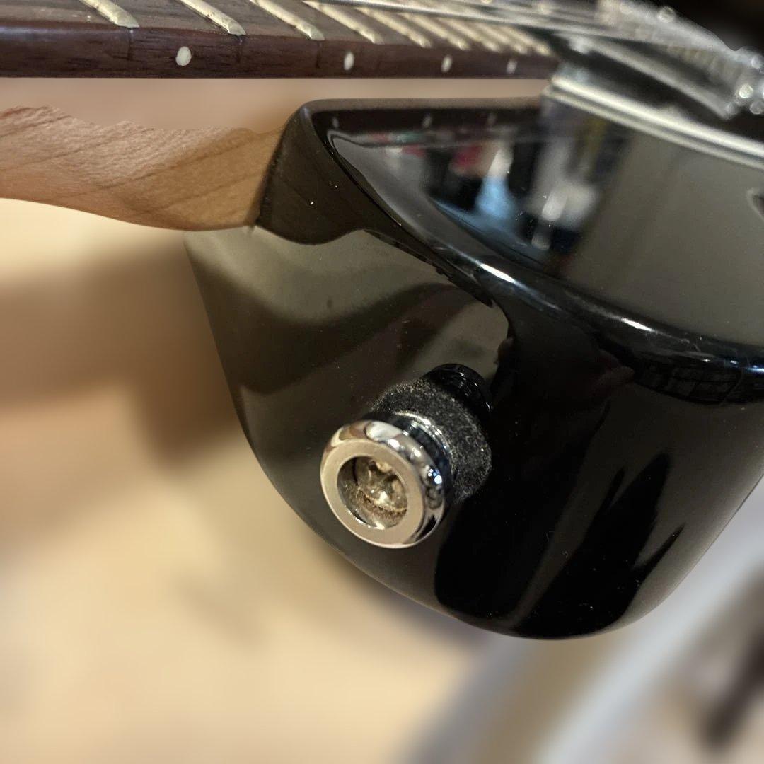 ピグノーズPGG200 ブラック