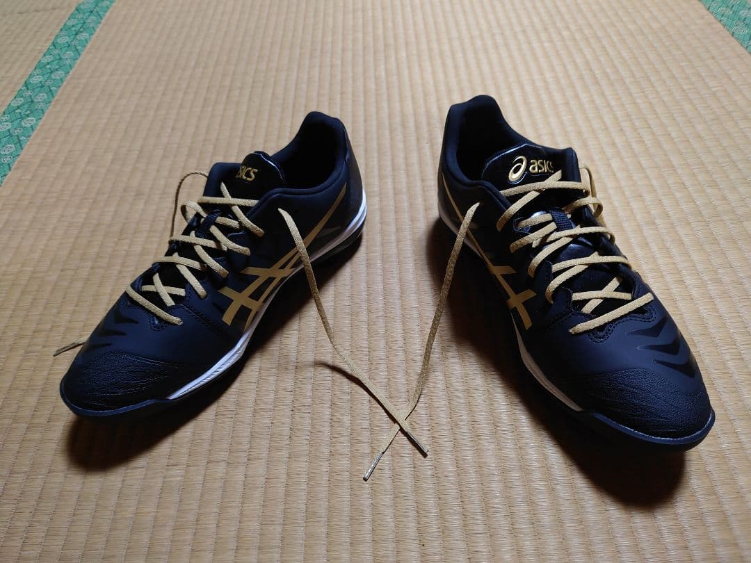 アシックス　ファング 27.5cm