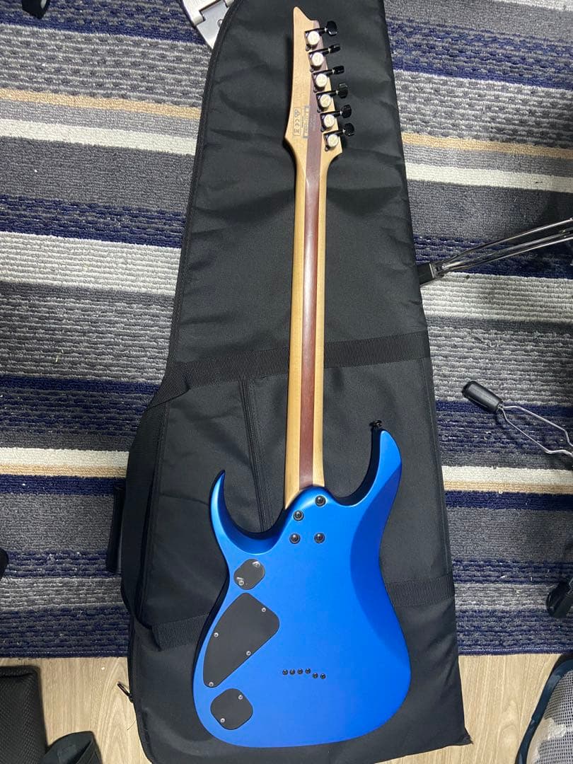 ギター Ibanez / iron label RGDIR6M-LBM