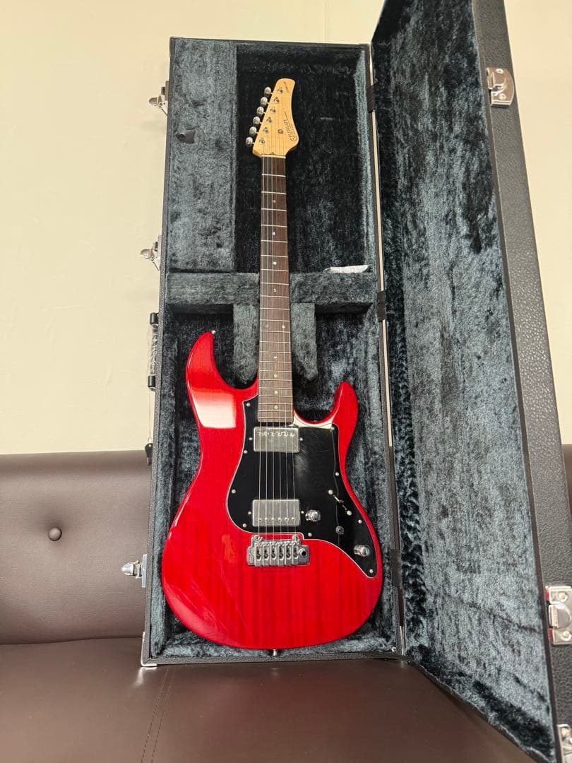 FUJIGEN フジゲン EOS/MH セミオーダーExpert ODYSSEY