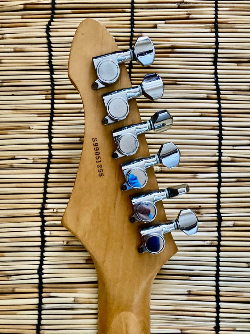 ☆どんきた☆ モディファイして新機能満載 AriaProII SSH ST