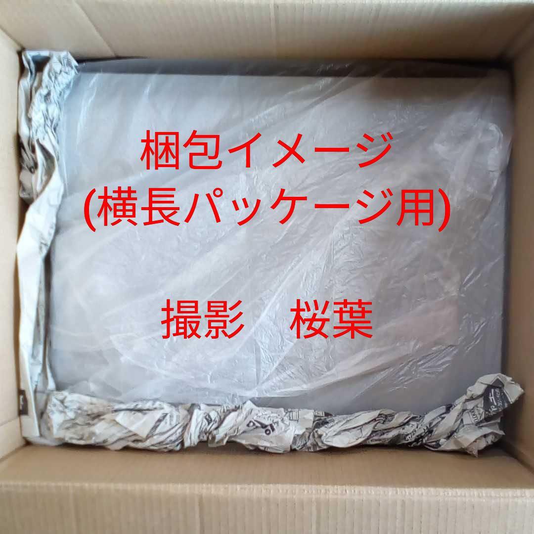 ガンプラ mg ガンダムストームブリンガー Ｐ.Ｆ. 新品　未組立　内袋未開封