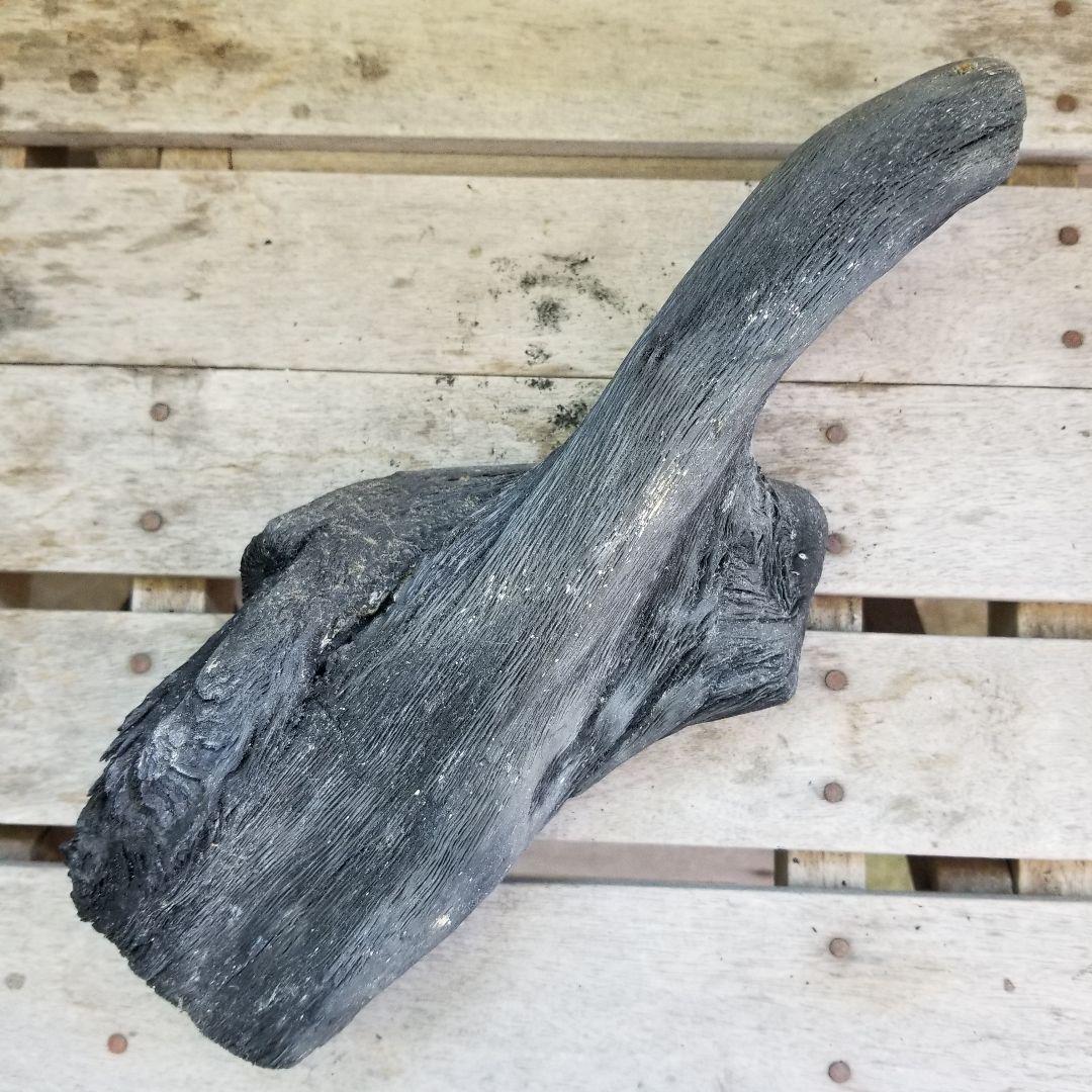 紀州備長炭オブジェ　一点もの　希少