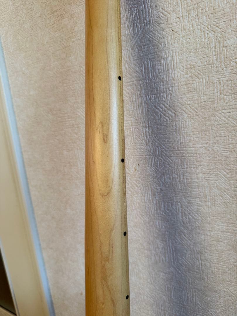 Edwards E-buzz bass ラルク tetsuyaモデル