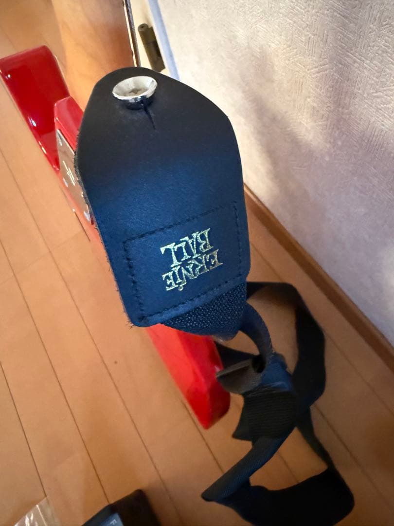 Edwards E-buzz bass ラルク tetsuyaモデル