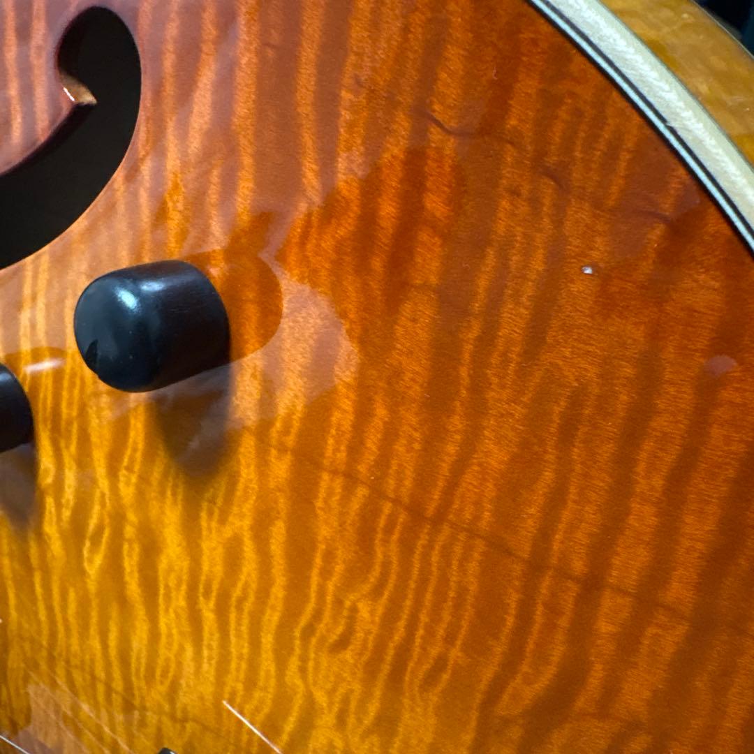 westville aruba crest 純正ケース付き　フルアコ