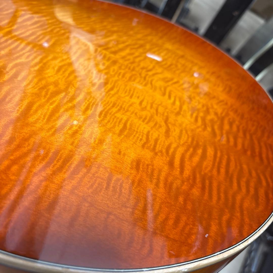 westville aruba crest 純正ケース付き　フルアコ