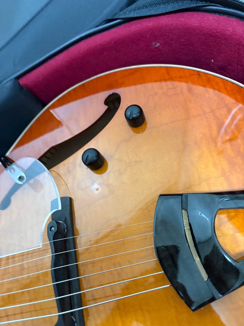 westville aruba crest 純正ケース付き　フルアコ