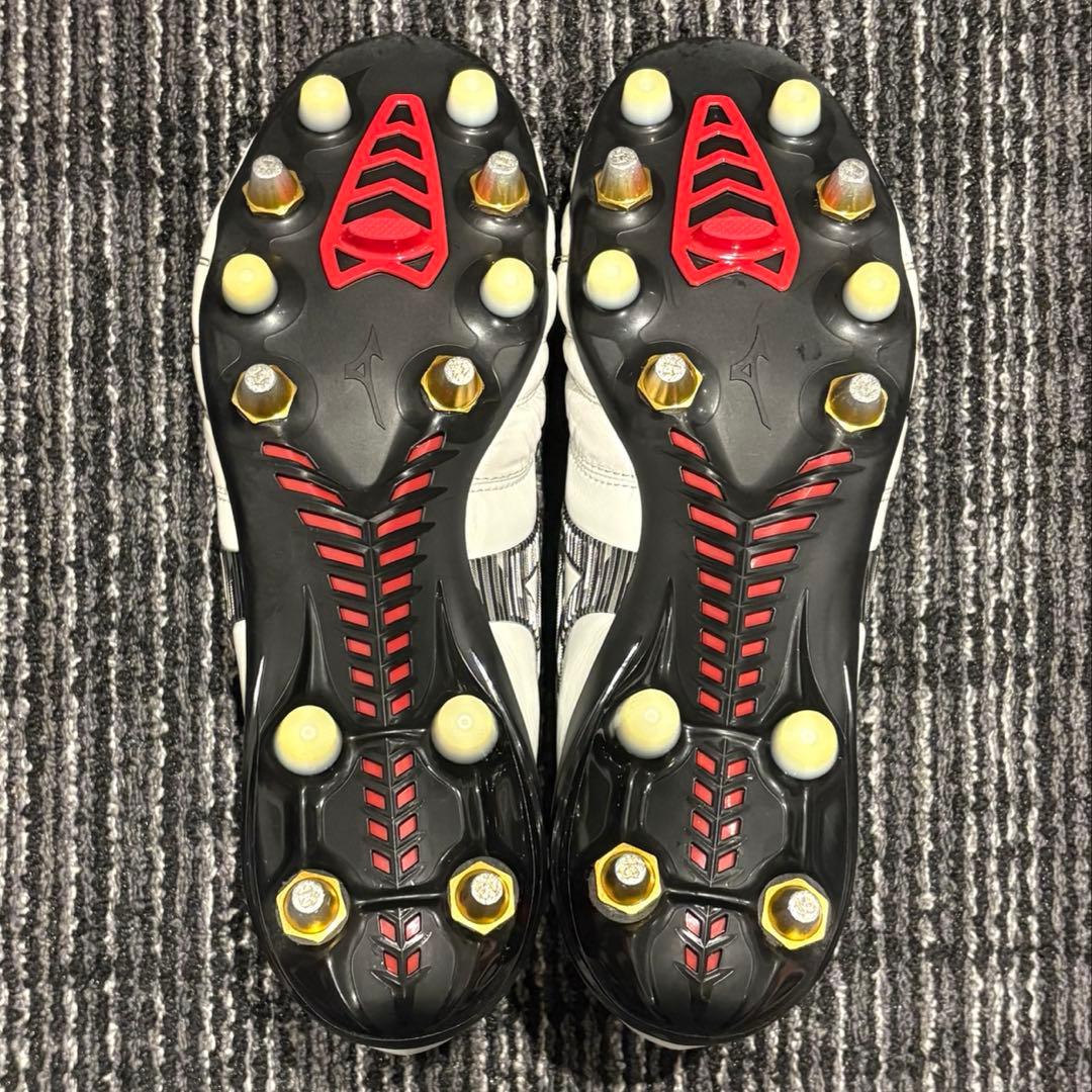 モレリアネオ4 MIX 24.5cm