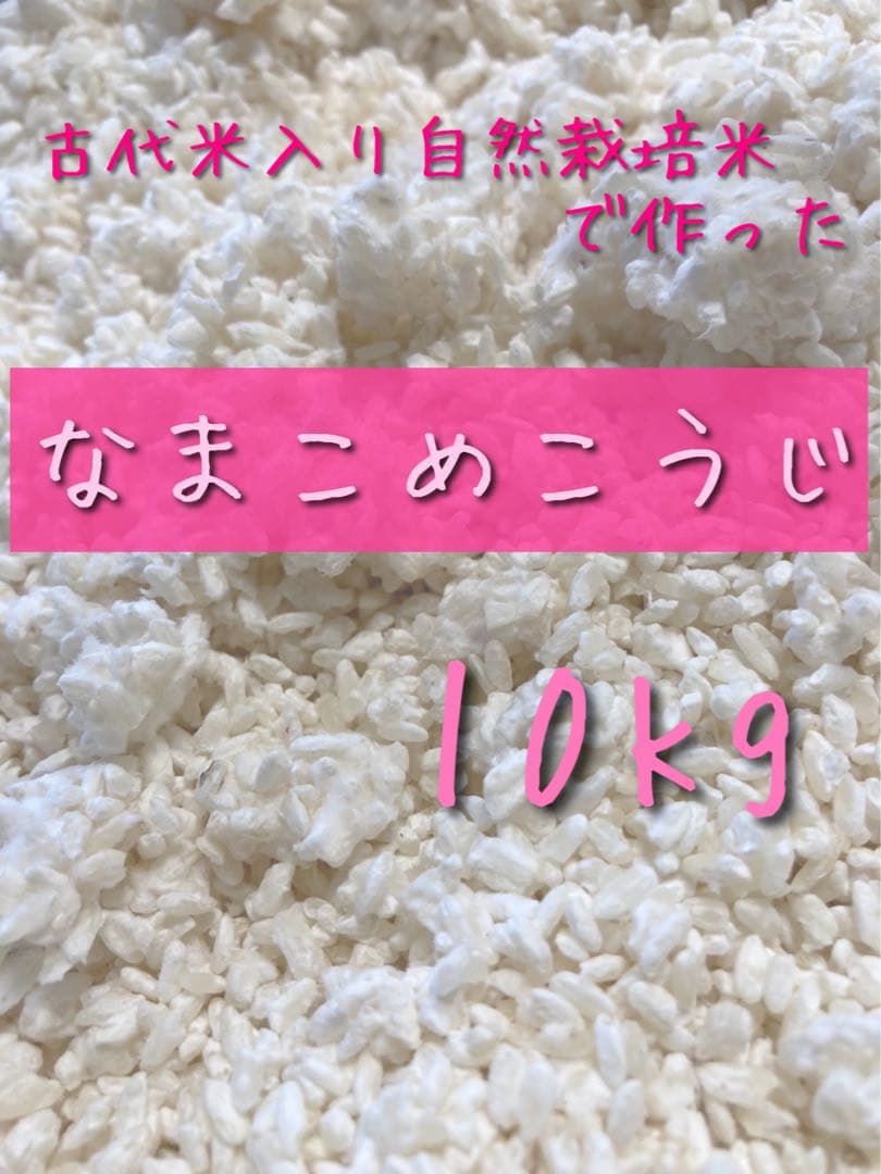 【 サンさま専用 】 こめこうじ 10kg