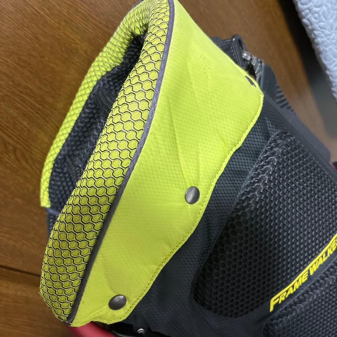 ミズノ 限定 フレームウォーカー キャディバッグ