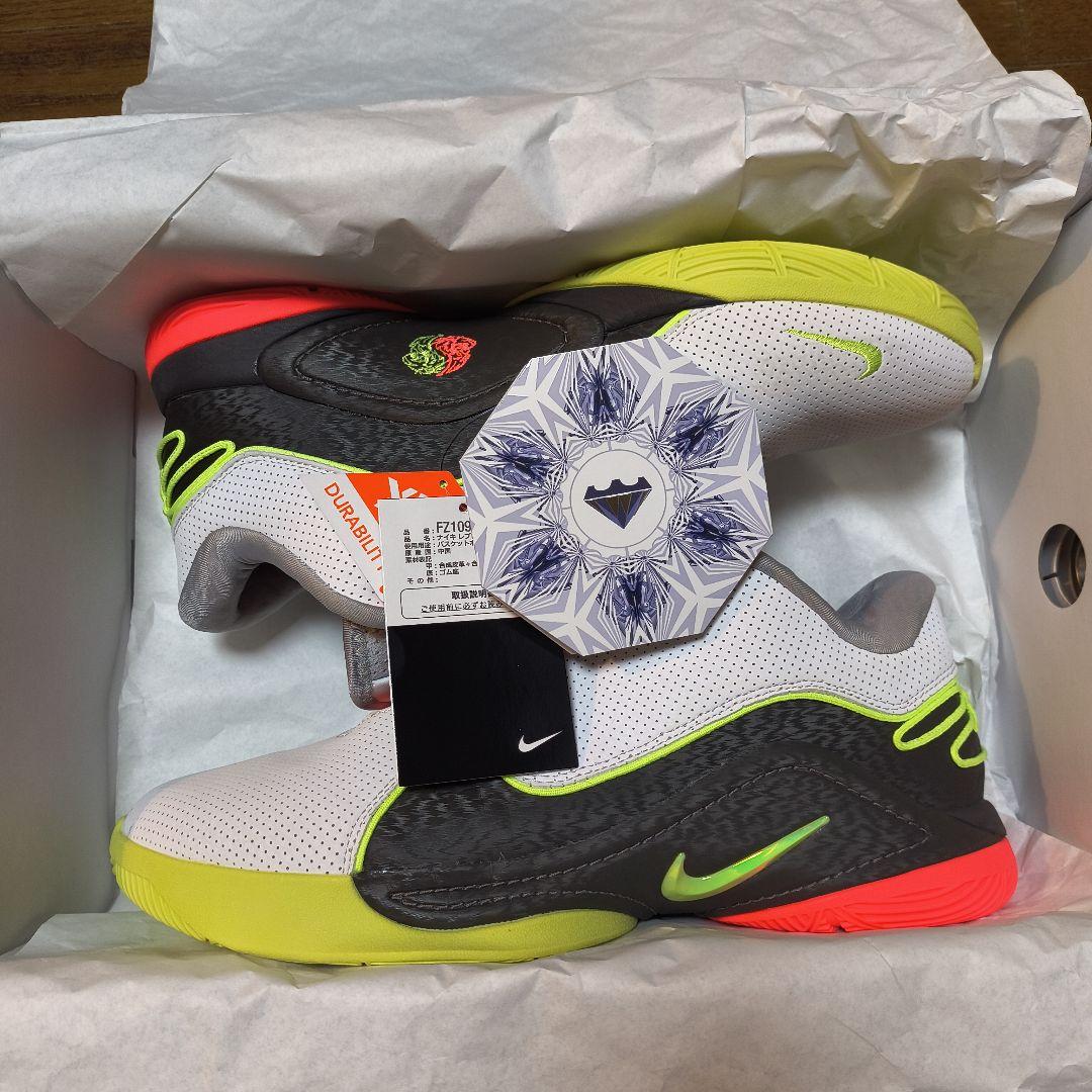 シューズ(男性用) LEBRON22 29cm