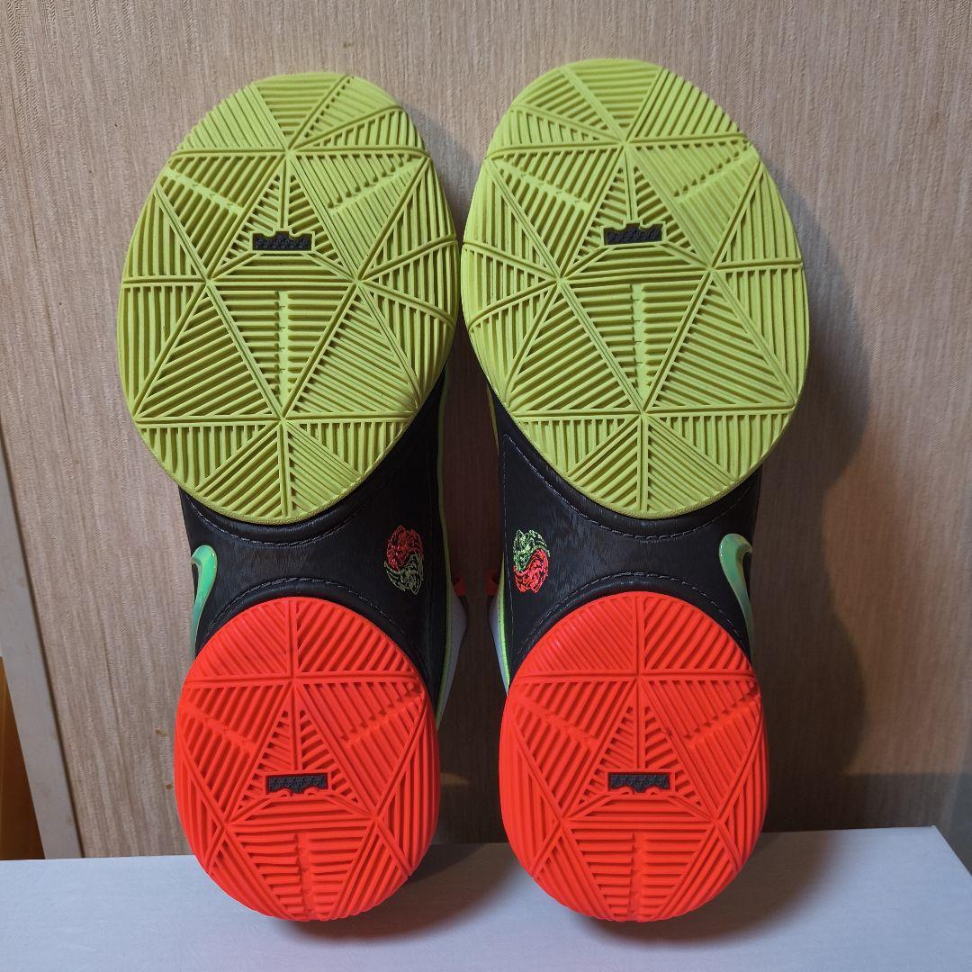 シューズ(男性用) LEBRON22 29cm