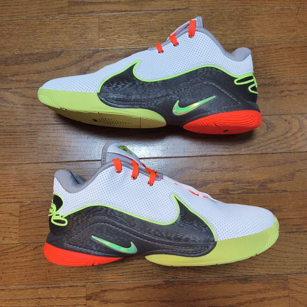 シューズ(男性用) LEBRON22 29cm