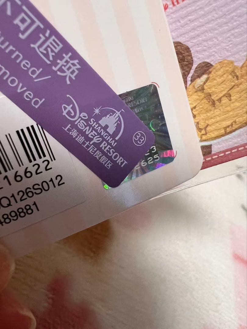 専用　2625 上海ディズニー　冬　クッキーアン　ぬいぐるみSS