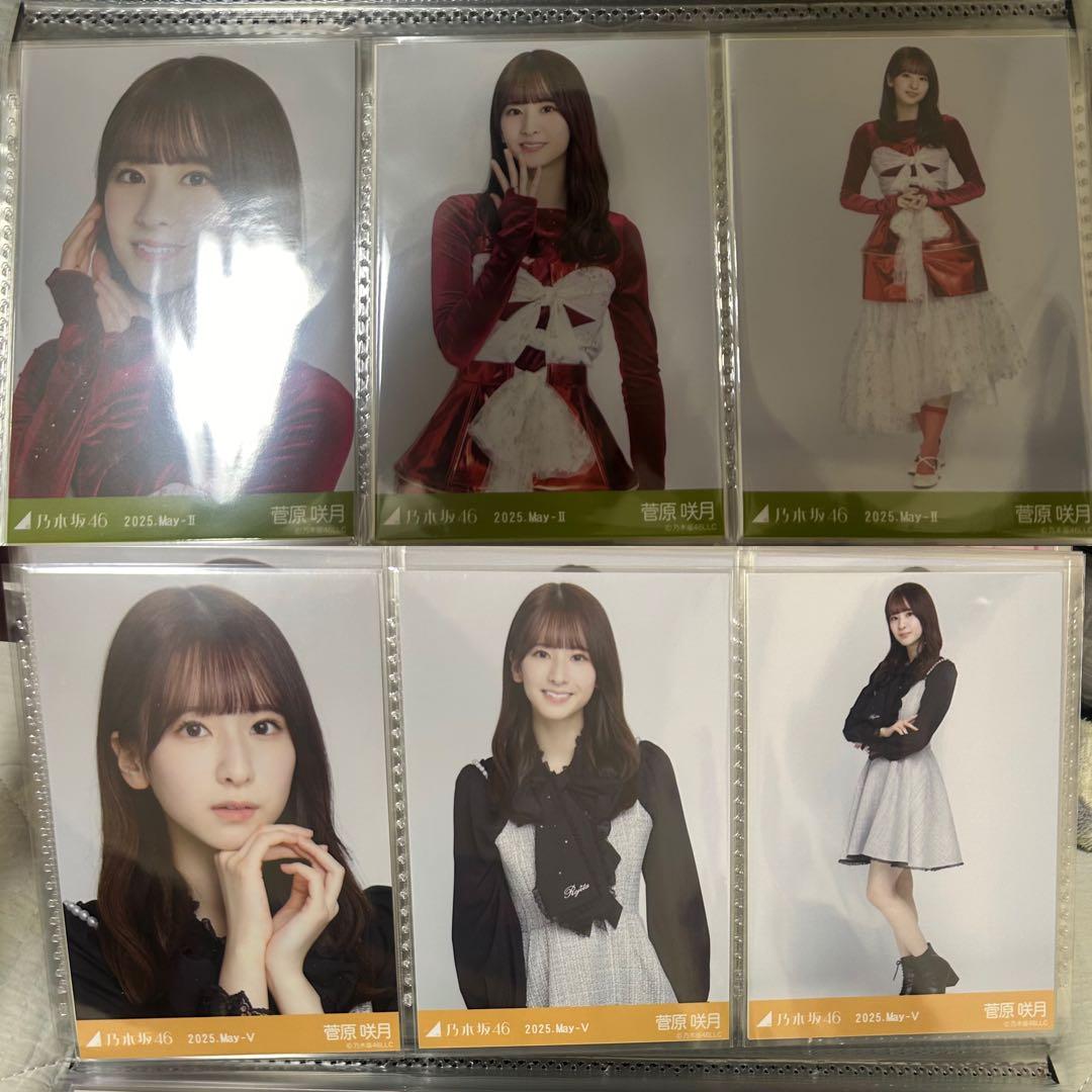 乃木坂46 菅原咲月 2025年月間ランダム 生写真 コンプ 19種 まとめ売り
