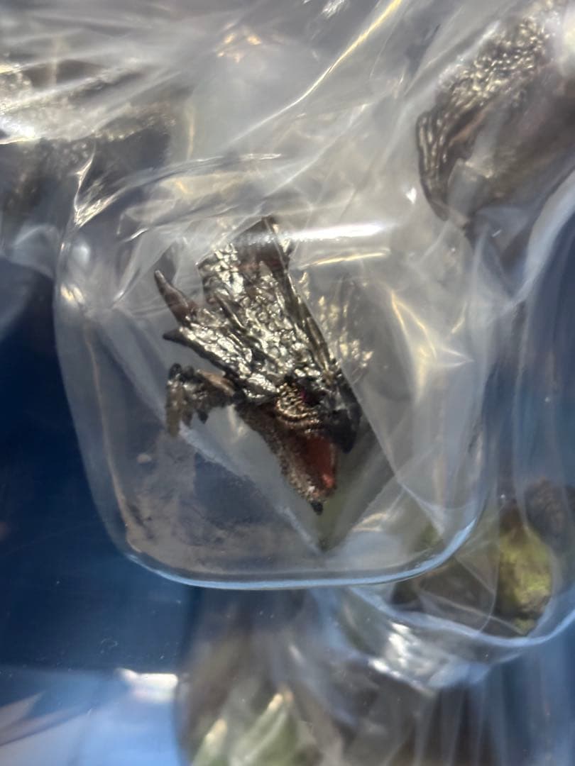 銀火竜リオレウス クリエイターズモデル