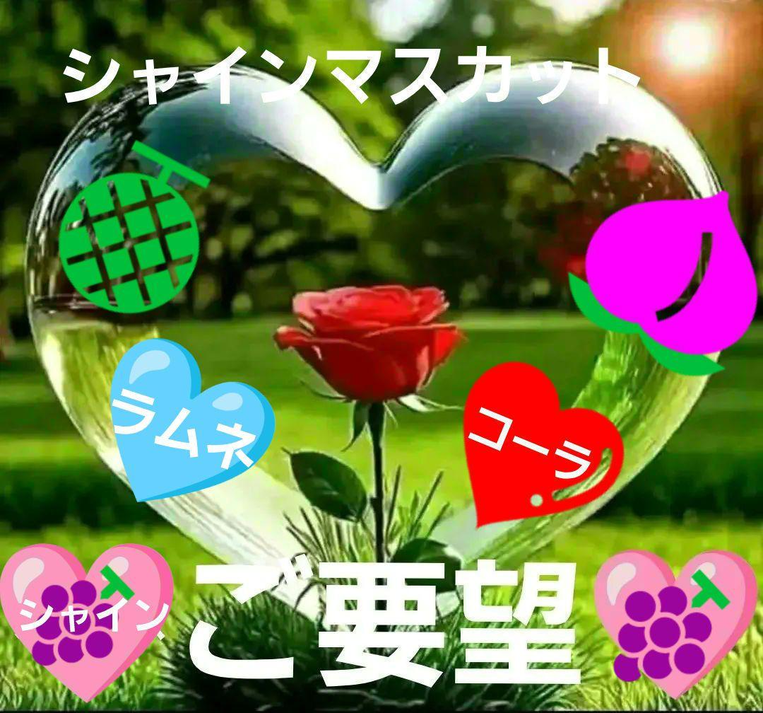 ⭕ご要望⭕ムラマツ製菓☘️☘️ 全６種ボンボン 160g×７パック