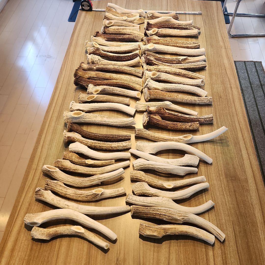 ぶち　鹿の角 (特大～大サイズ)犬用おもちゃ ランダム　2kg　8本