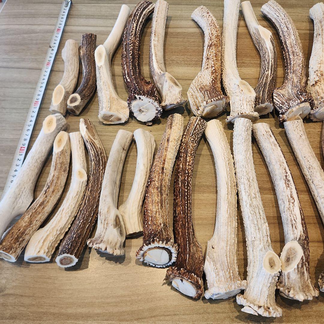 ぶち　鹿の角 (特大～大サイズ)犬用おもちゃ ランダム　2kg　8本