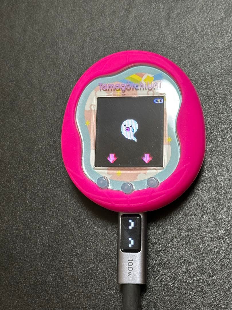 たまごっち￼2個