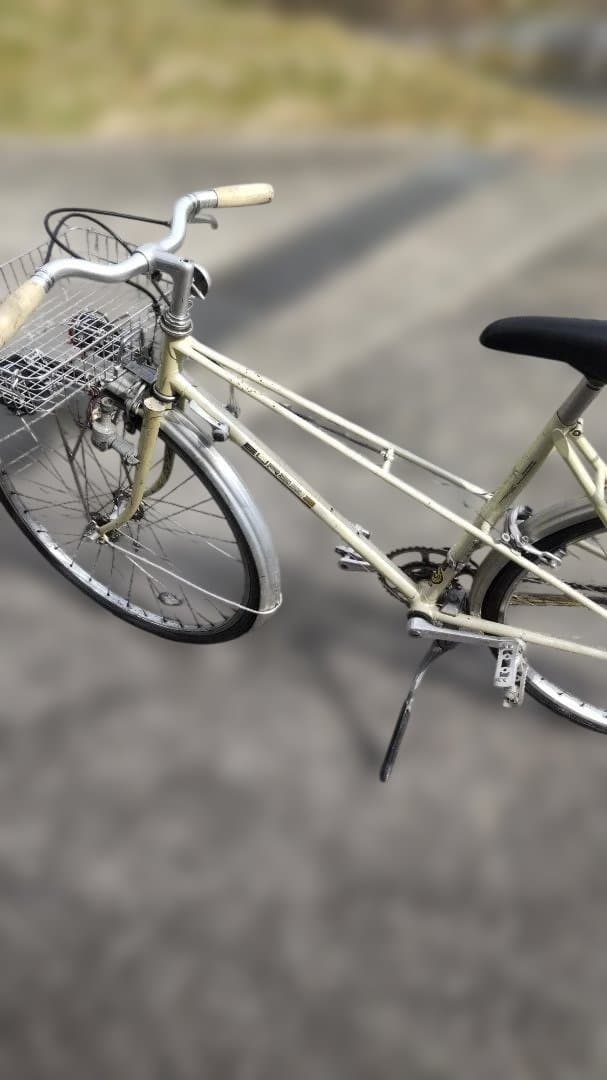 ブリヂストン ユーラシア ミキスト ランドナー 自転車