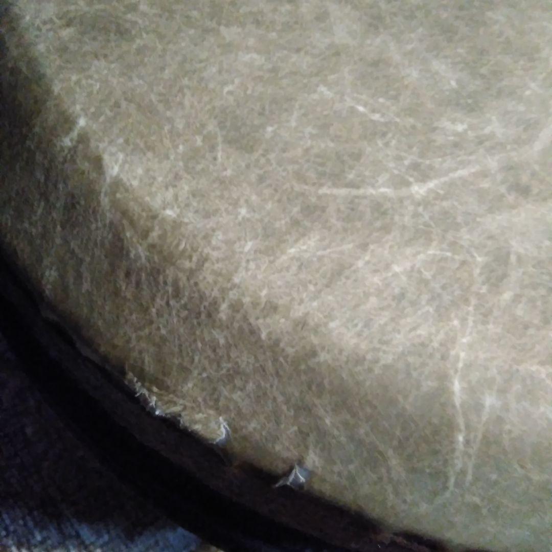 ジャンベ　REMO　レモ　打楽器　パカッション　化石柄