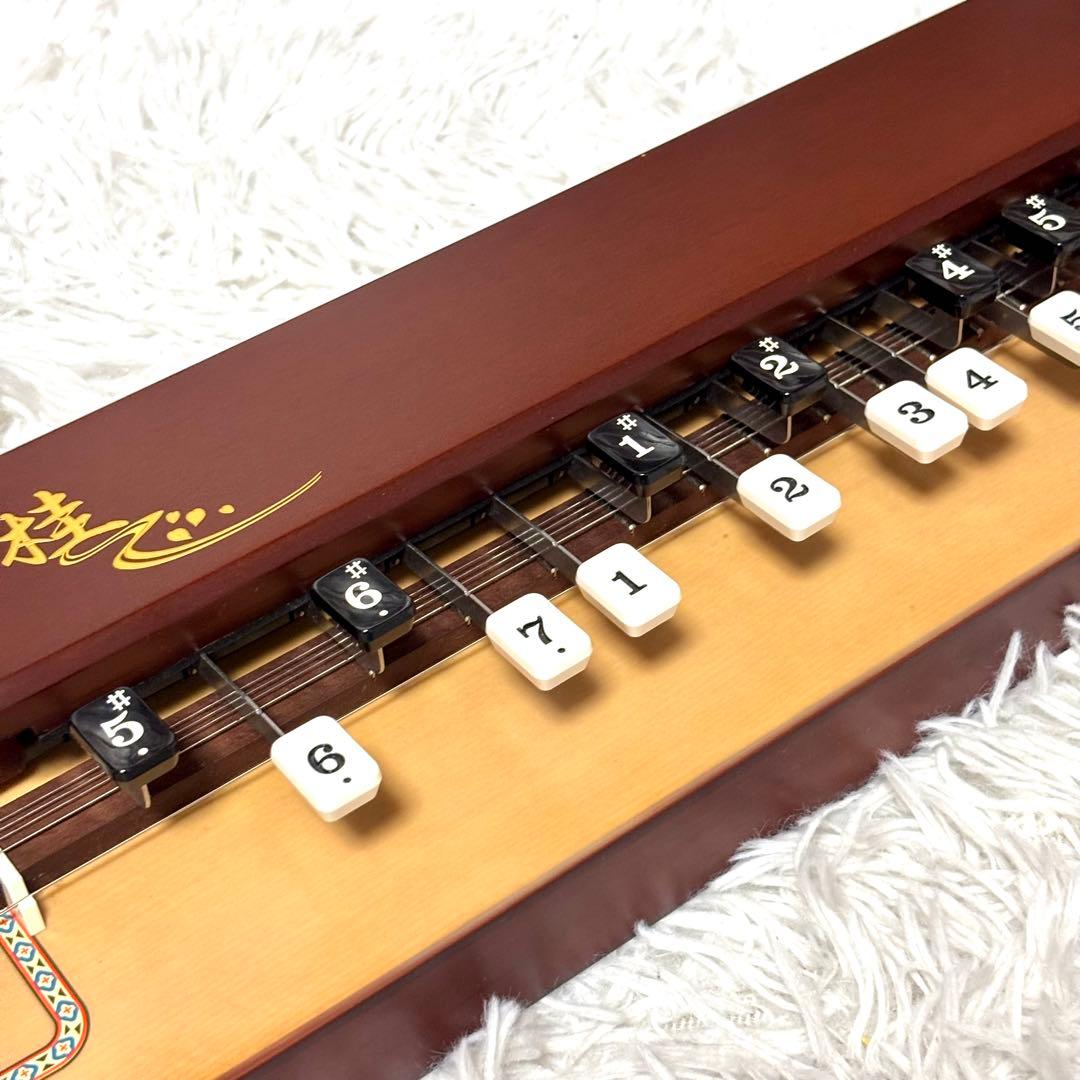 ✨美品✨SUZUKI スズキ　電気大正琴 桂 TAS-11　ハードケース付き