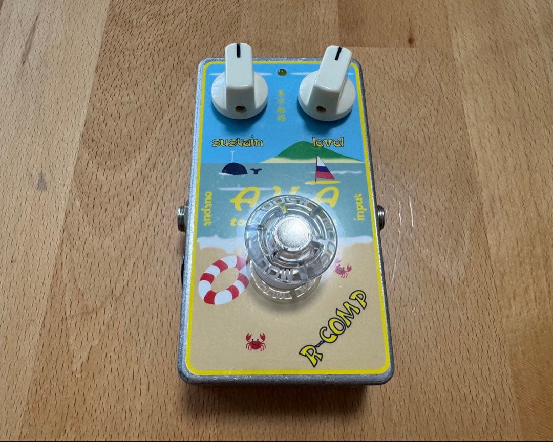 【美品】A.Y.A Tokyo R-Comp 2025年3月購入品