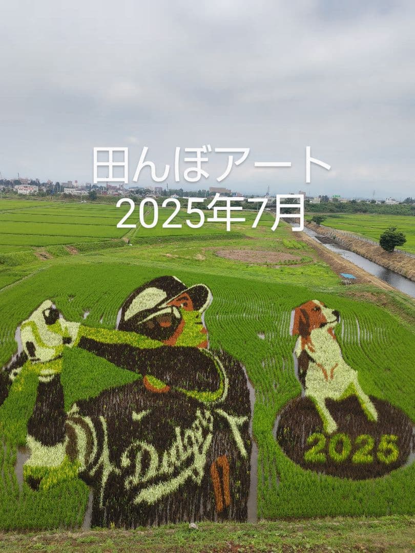 純粋はちみつ　百花蜜（１年熟成物）　550ｇ✕4本（2.2kg）