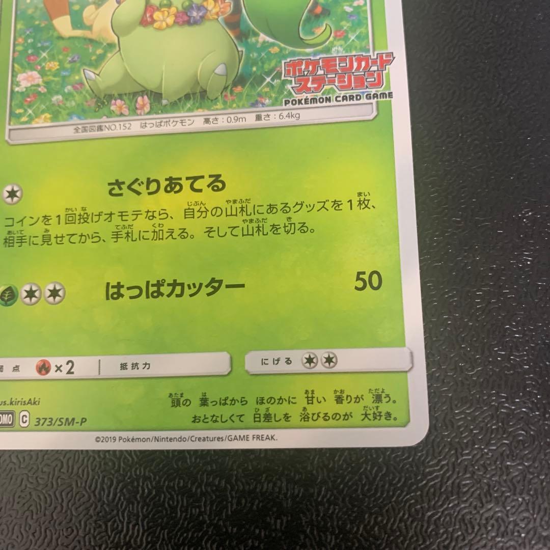 ポケモンカードステーション チコリータ