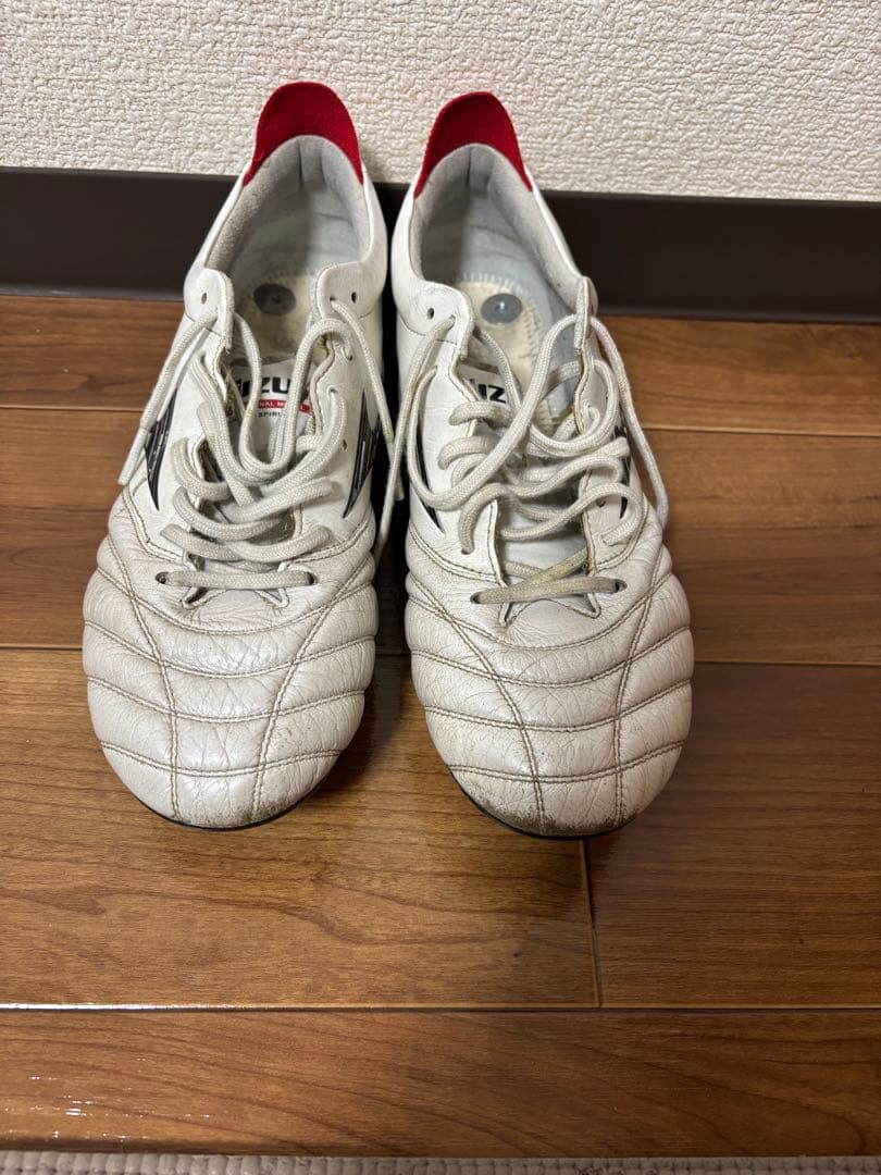 モレリアネオ4 mix 25.5