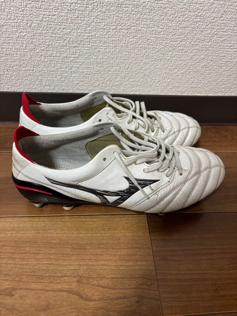 モレリアネオ4 mix 25.5