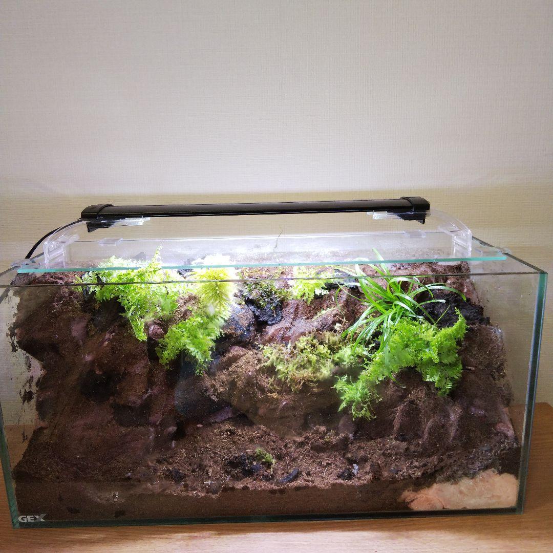 【オーダーメイド】滝のあるアクアテラリウム　苔テラリウム　アクアリウム